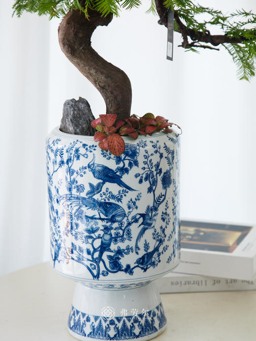 青花瓷盆水杉 商品图1