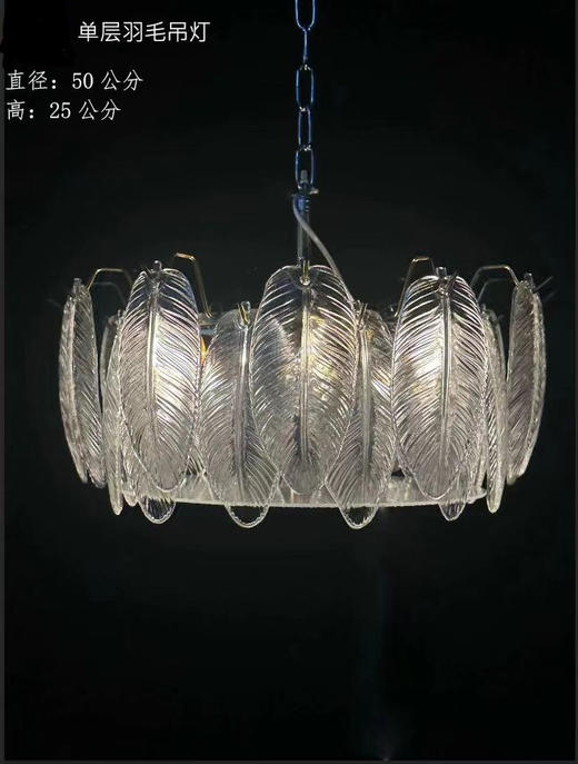 单层羽毛吊灯（运费自理） 商品图0