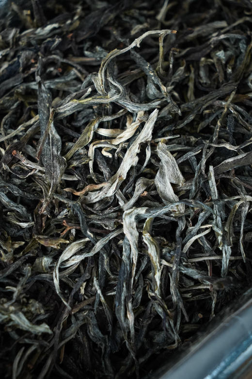 【老班章“羽毛茶”】以茶王之姿问鼎羽毛茶高峰 商品图10