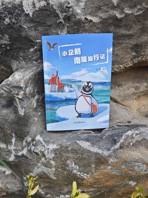 小企鹅南极旅行记（一本关于南极知识科普、探险、成长、友情的儿童故事书 商品图1