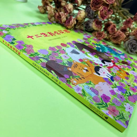 神秘岛 · 十二生肖唱花歌  张云露 / 绘  适合4-8岁儿童阅读 商品图4