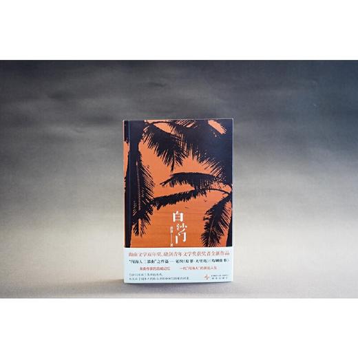 白沙门  （“闯海人三部曲”之终篇）(唐彦 著;) 商品图2