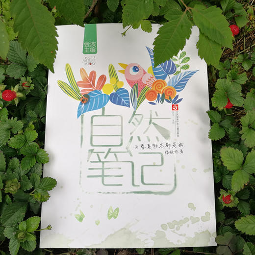 自然笔记：春夏秋冬都是画(滕毓旭) 商品图1