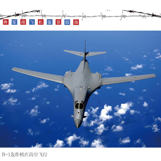 “经典武器装备鉴赏指南：精华版”（共7册） 商品图9