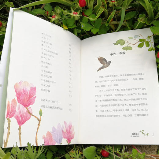 自然笔记：微小的春天(毛芦芦) 商品图3