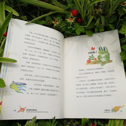 自然笔记：春夏秋冬都是画(滕毓旭) 商品图3