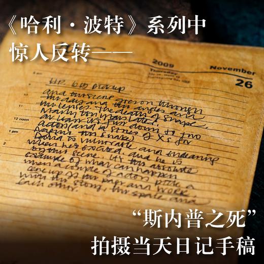 【译森文创】《疯狂与深情:艾伦·里克曼日记》杜邦纸书衣 商品图4