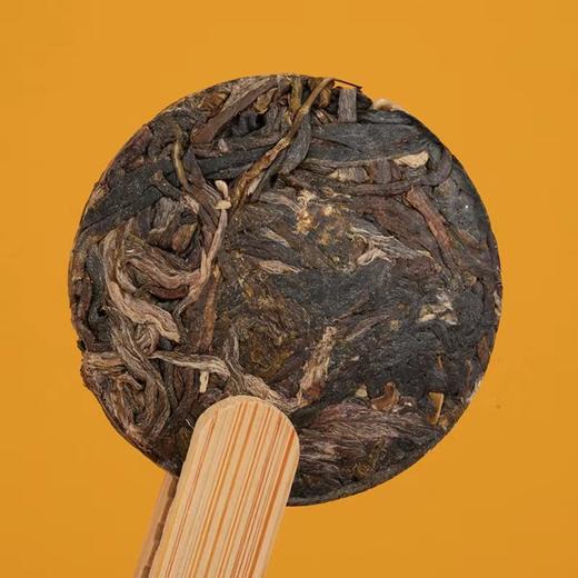 德丰昌 | 生茶试饮集合6种口味 60g 商品图2