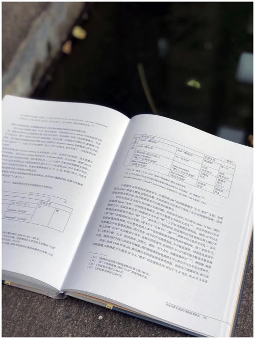 《龟兹石窟题记》，全三册，精装，16开，赵莉、荣新江编著，中西书局2020年出版，定价1200，售价428元。品95成。 商品图10