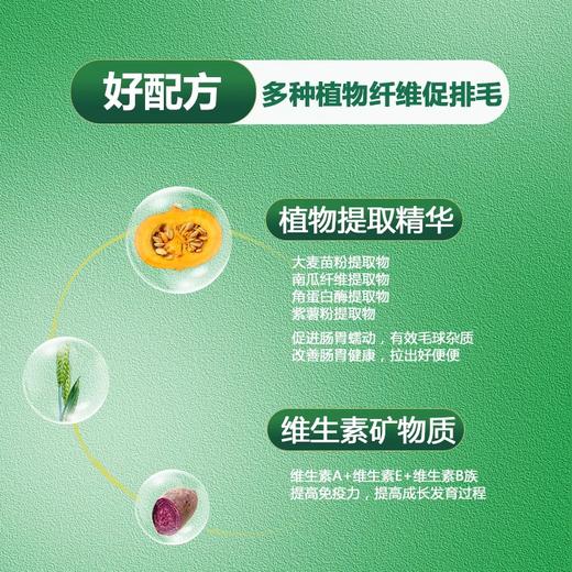 【积分商城】WOAO猫草片化毛球片猫咪专用植物膳食护肠胃助消化宠物营养补充剂 商品图2