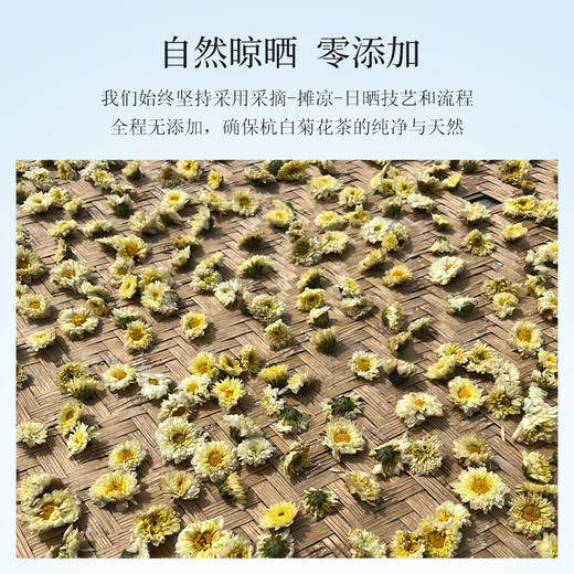 杭白菊花茶&金丝皇菊【产地直发】@妈妈农场 商品图3