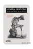 Human Anatomy: Depicting the Body from the Renaissance to Today / 人体解剖学： 从文艺复兴到今天的人体描绘 商品缩略图0