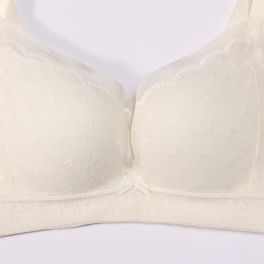 都市丽人内衣自然舒适常规文胸蕾丝薄文胸3/4杯三排扣无钢圈LBT2T8 商品图4