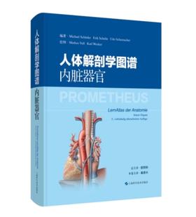 人体解剖学图谱 内脏器官