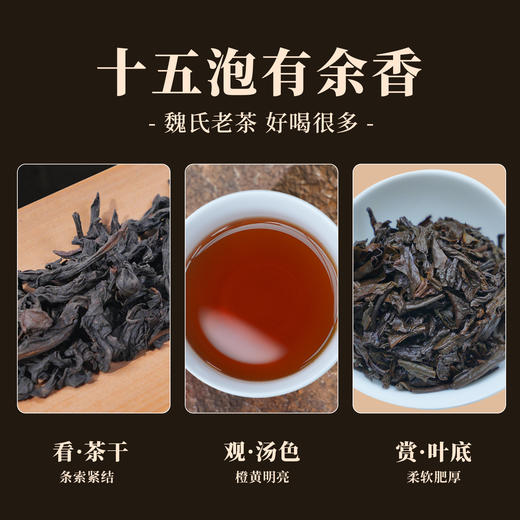 1981年老乌龙 药香浓郁，先泡后煮、养生必选茶饮 16克（8克*2泡） 商品图2