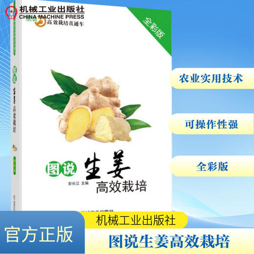 图说生姜高效栽培(全彩版) 商品图0