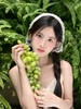 『日抛大直径』CON4U-笨蛋小狗-14.5mm【日抛 0-1000度 无525/575/850/950】 商品缩略图5