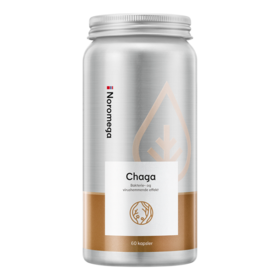 Noromega 诺欧美嘉 白桦茸胶囊 60粒/瓶