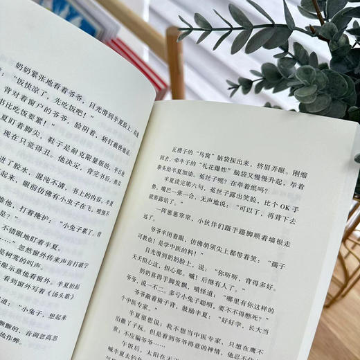 云边的中药铺(于芳潇) 商品图4