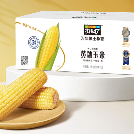 北纬47°黄糯鲜玉米🌽【72小时发货】，吃到以后可真的会爱上😍，优质碳水的快乐，这就来了！ 商品图2