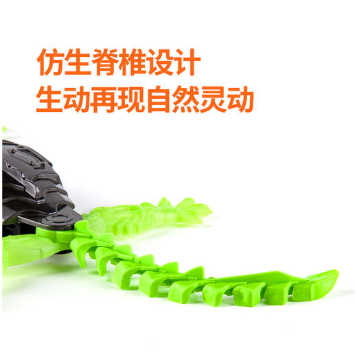 赫宝（HEXBUG）【科技创意季】机器虫仿生机器虫机械大师遥控动物儿童玩具男孩女 【遥控壁虎】USB充电 商品图9