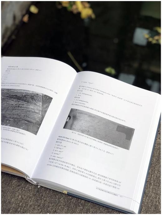 《龟兹石窟题记》，全三册，精装，16开，赵莉、荣新江编著，中西书局2020年出版，定价1200，售价428元。品95成。 商品图11