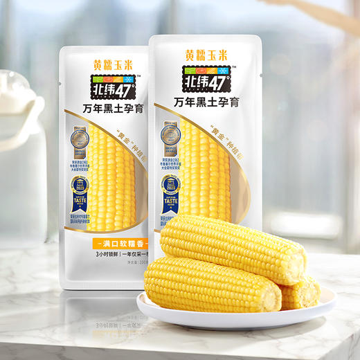 北纬47°黄糯鲜玉米🌽【72小时发货】，吃到以后可真的会爱上😍，优质碳水的快乐，这就来了！ 商品图1