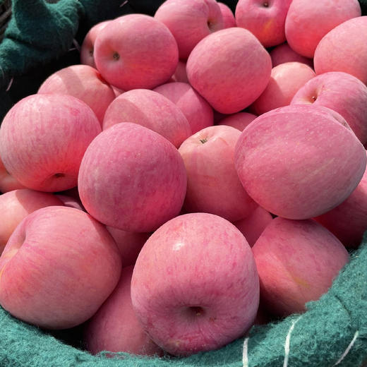 【脆甜多汁！红富士苹果】山东栖霞烟台红富士苹果4.5斤新鲜脆甜红苹果当季，果肉饱满，汁水充盈甜蜜，香甜多汁。ry 商品图1