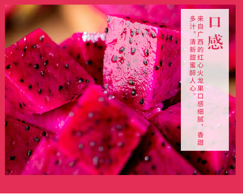 火龙果_08.jpg