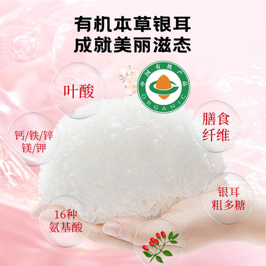 批发代加工 燕窝有机本草冻干银耳羹免煮冲泡速食燕窝速食银耳羹 商品图2
