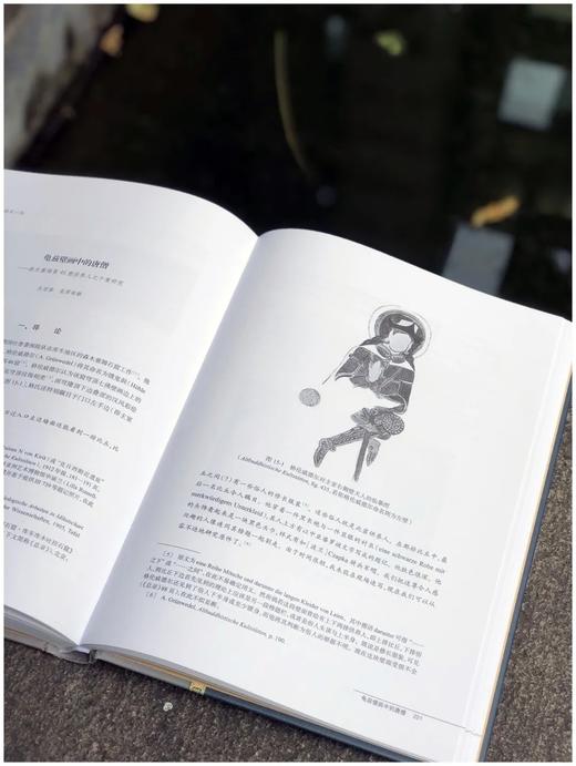 《龟兹石窟题记》，全三册，精装，16开，赵莉、荣新江编著，中西书局2020年出版，定价1200，售价428元。品95成。 商品图9