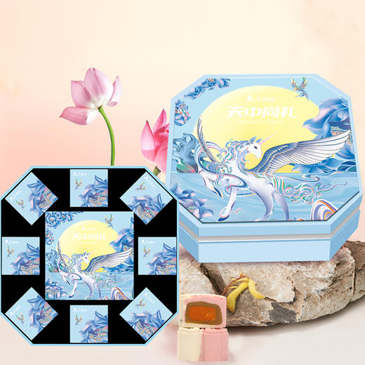 天中尚礼9粒装 商品图0