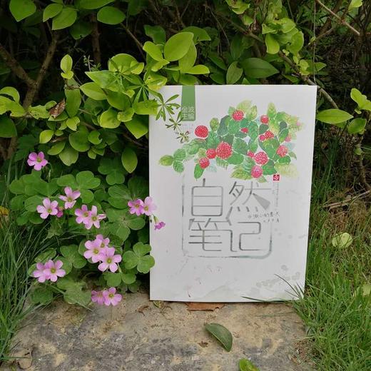 自然笔记：微小的春天(毛芦芦) 商品图2