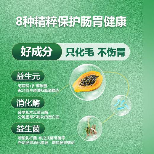 【积分商城】WOAO猫草片化毛球片猫咪专用植物膳食护肠胃助消化宠物营养补充剂 商品图3