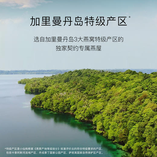 小仙炖鲜炖燕窝加里曼之星100g系列 冰糖/无糖 商品图2