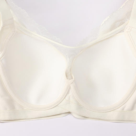 都市丽人内衣完美包容常规文胸蕾丝超薄文胸3/4杯四排扣软钢圈LBT2S2 商品图8