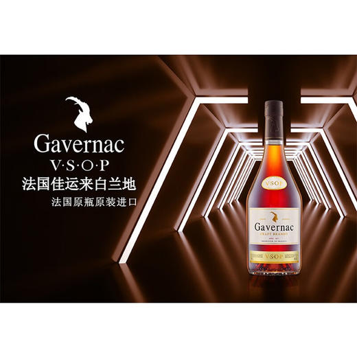 法国佳运来VSOP白兰地 40度700ml/1瓶 商品图3