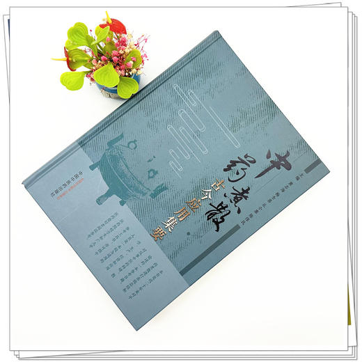 中药煮散古今应用集要 黄志海 梅全喜 丘小惠 陈伟民 主编 中国中医药出版社 商品图1