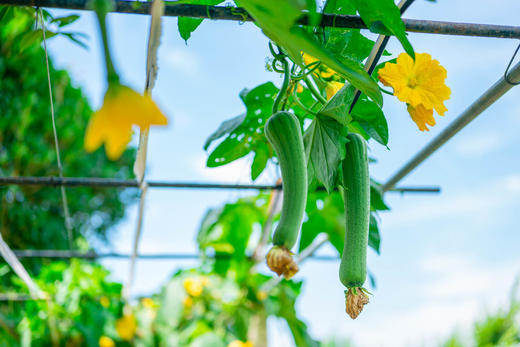 武汉慢姑娘红兴雅苑轰趴馆 商品图14