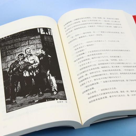 红岩 商品图4