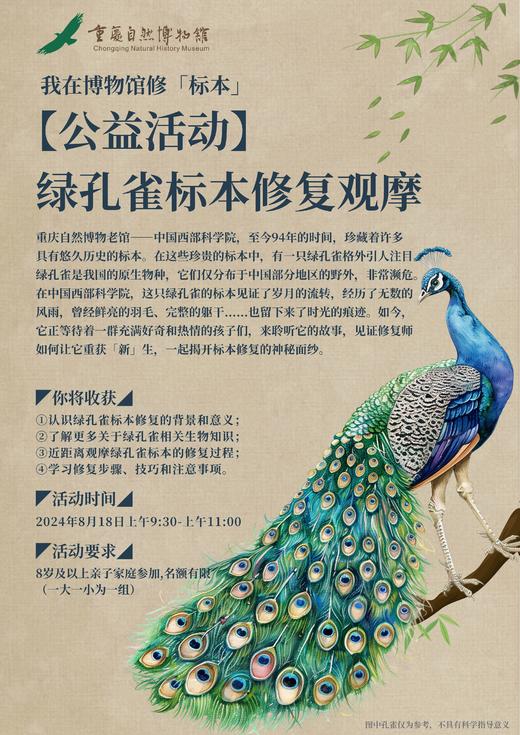 【重庆自然博物馆】公益活动 ▏绿孔雀修复观摩 商品图0