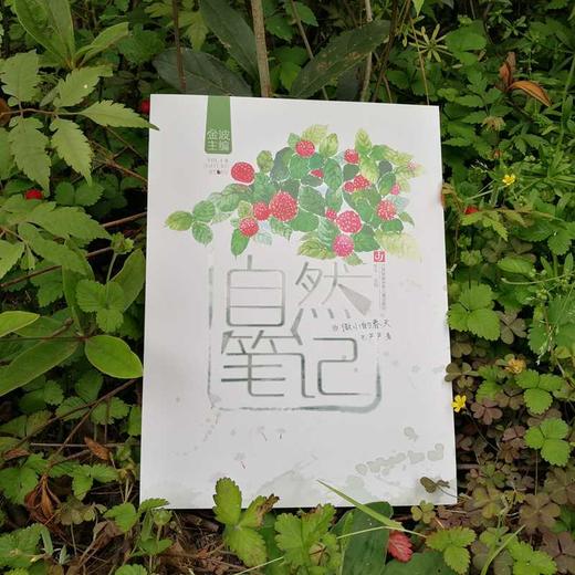 自然笔记：微小的春天(毛芦芦) 商品图1