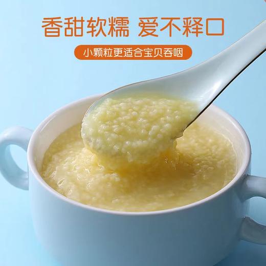 【超值3盒装】时光稻留有机厚油黄小米 480g/盒 商品图1