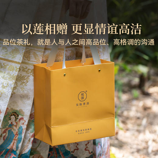 2024年金瓜贡莲生茶500克皇家贡茶级选料特别香特别甜 商品图3