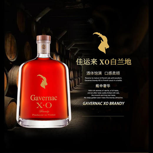 法国佳运来XO白兰地 40度700ml/1瓶/2瓶 商品图4
