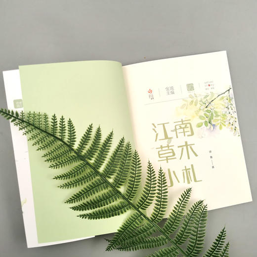 自然笔记第二辑：江南草木小札(著名儿童文学家、诗人金波主编) 商品图3