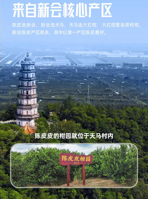 新会陈皮卤花生 原味 香辣味 250g/盒 商品图5