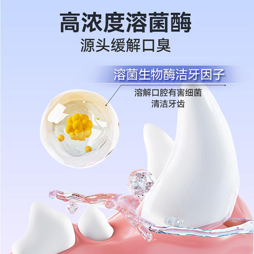 MAG&IGG 【口气魔方】口气清新猫用除口臭抑菌洁齿冻干颗粒 商品图2