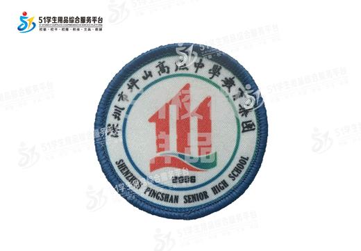通版深圳市坪山高级中学教育集团男女生蓝绿色包边校徽缝烫现货51 商品图2