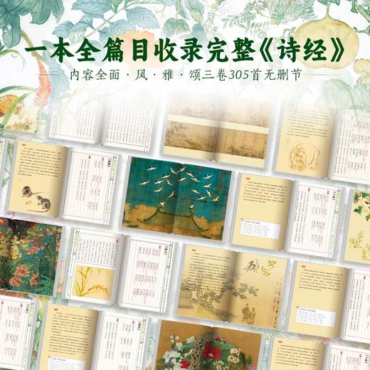 《诗经》全注全译全本彩图（典藏版） 商品图3
